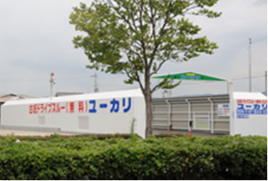 ユーカリとは